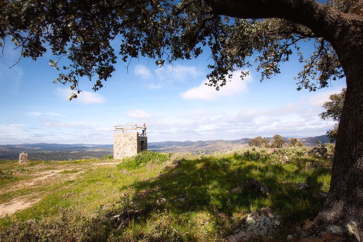 Una torrecilla de piedra en lo alto de un prado, bajo la copa de una encina, con la sierra al fondo