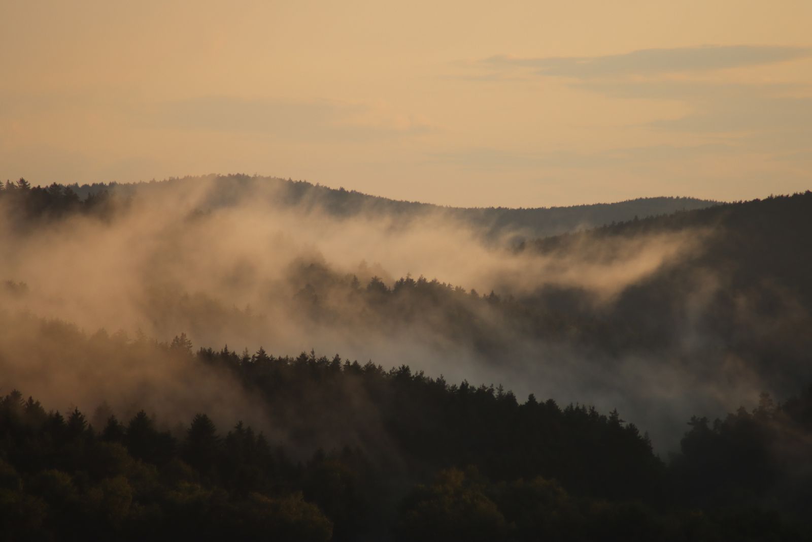 Amanecer con niebla sobre un valle de robles y prados en el interior de Galicia